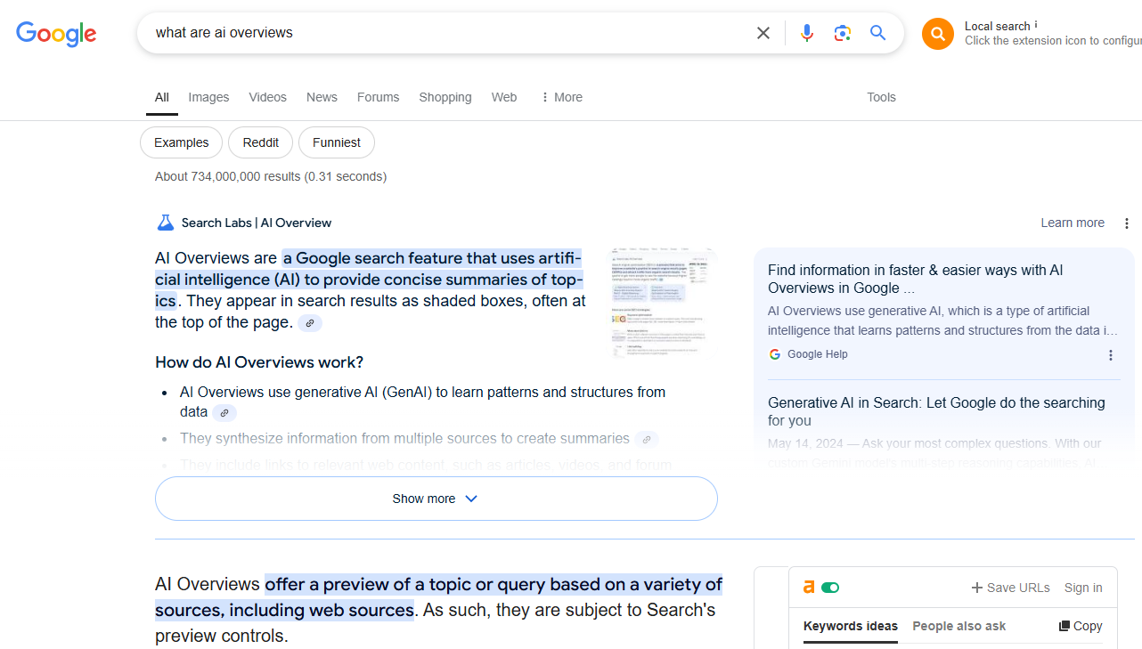 Ai Overviews Screenshot